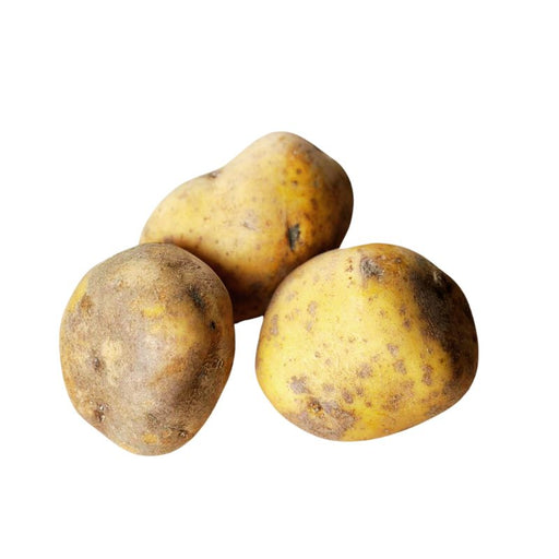 Agria Potatoes - Foodcraft Online Store