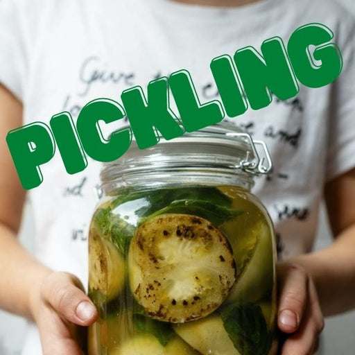 (XMAS Special) KIDS Pickling Class by Shima - FoodCraft Online Store 