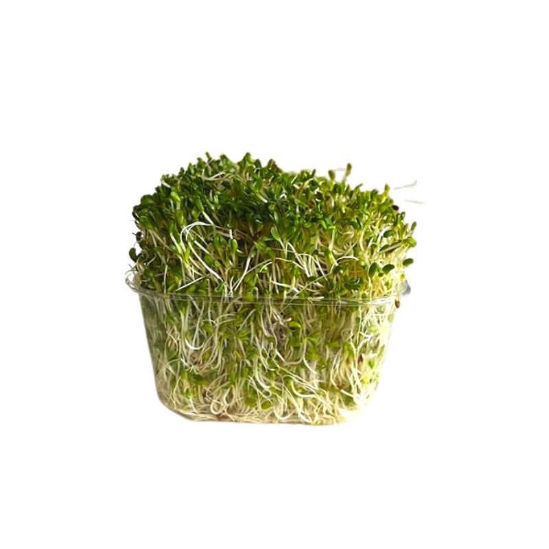 Alfalfa - 125g – FoodCraft Online Store