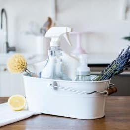 Sustainable Home Cleaning Class - FoodCraft Online Store 