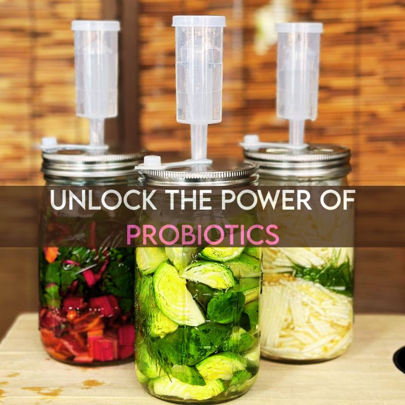 Unlock the Power of Probiotics: Your Beginner's Guide to Lacto-Fermentation