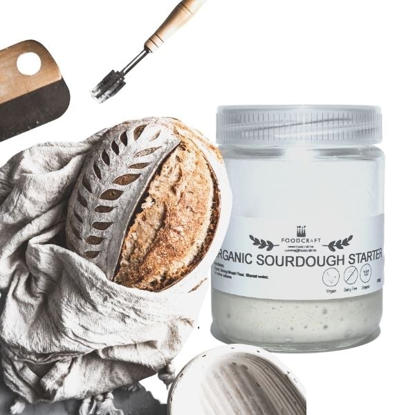 Sourdough Starter - All the Basics You Need to Know