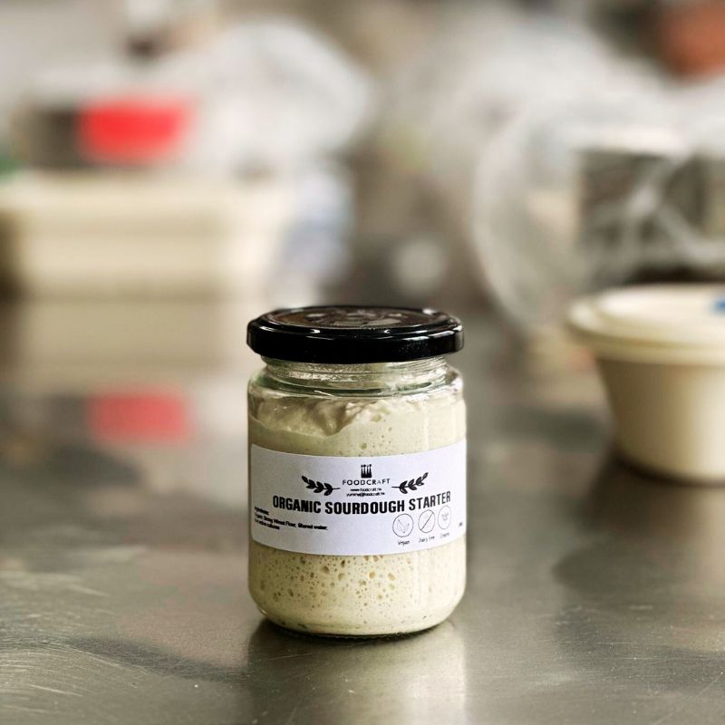 How to Feed Your Sourdough Starter: A Beginner’s Guide to Keeping It Alive and Thriving