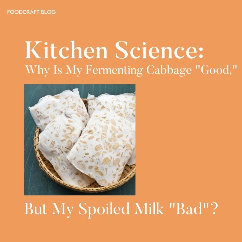 Kitchen Science: Why Is My Fermenting Cabbage "Good," But My Spoiled Milk "Bad"?