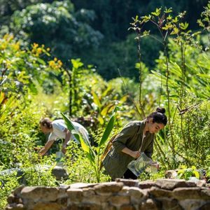What is Permaculture? Meet Perma Club's Sacha & Pamela.