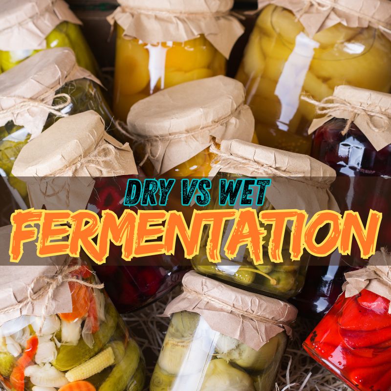The Art of Fermentation: Understanding Dry vs Wet Fermentation and the Health Benefits of Lacto-Fermentation