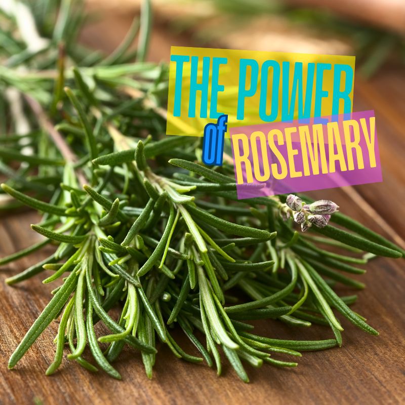 The Power of Rosemary: Beyond Flavor to Flavonoids and Health Benefits