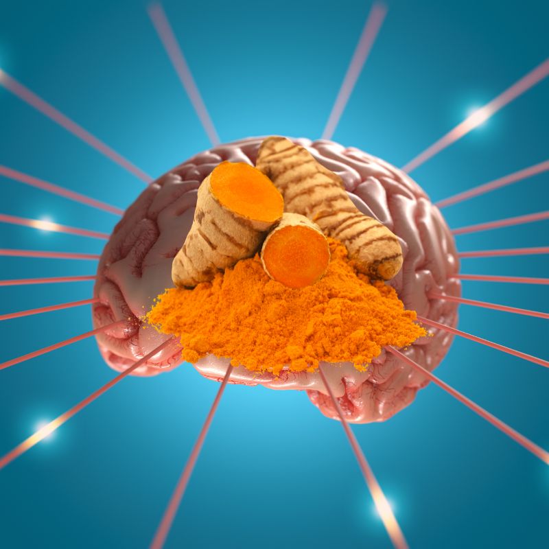 The Spice of Life: Can Turmeric Help Keep Your Mind Sharp?