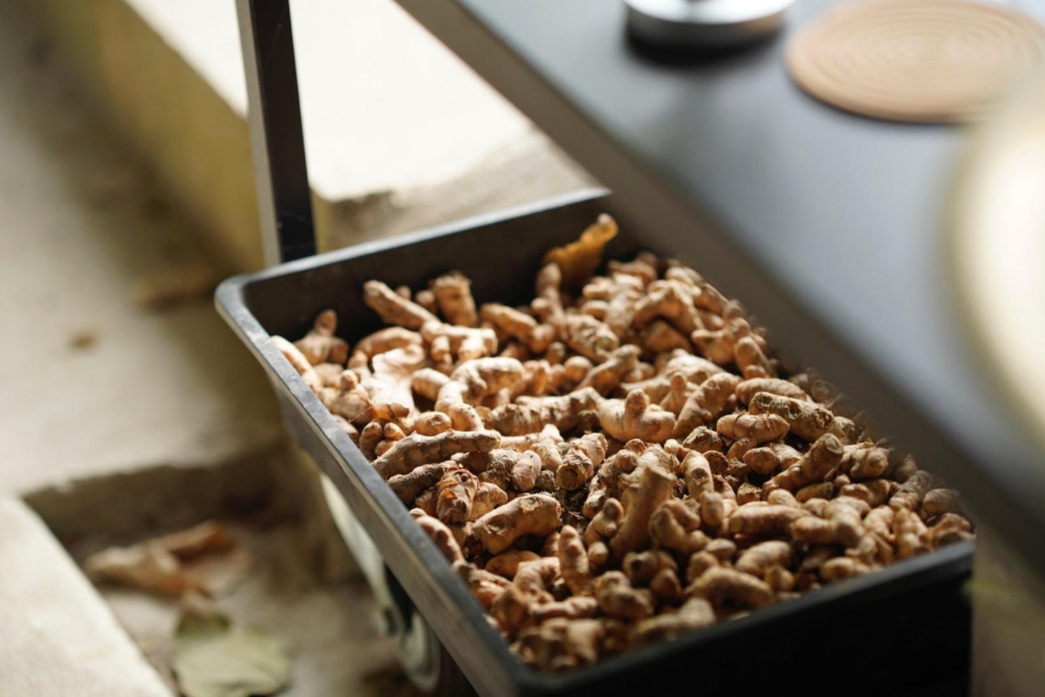 This year's harvest of  💛 Organic turmeric