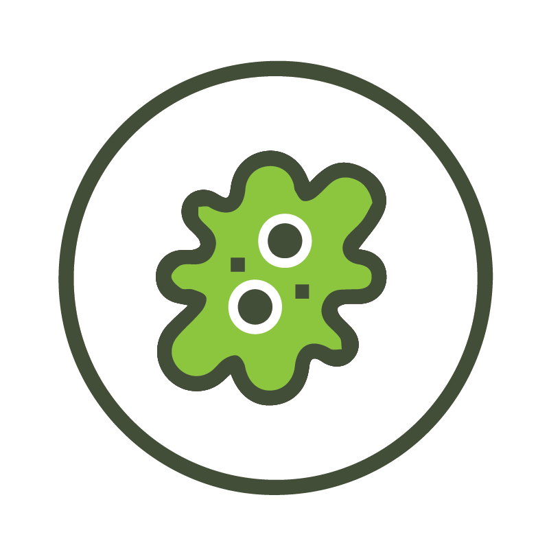 Fermented Foods Hong Kong