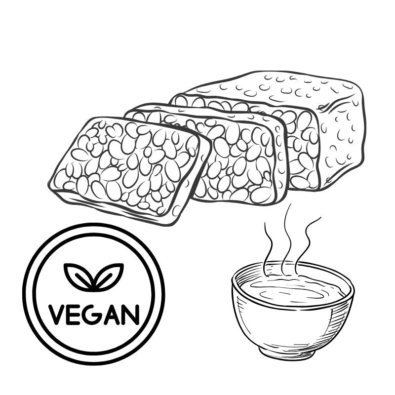 Fermented Beans and Grains - Foodcraft Online Store