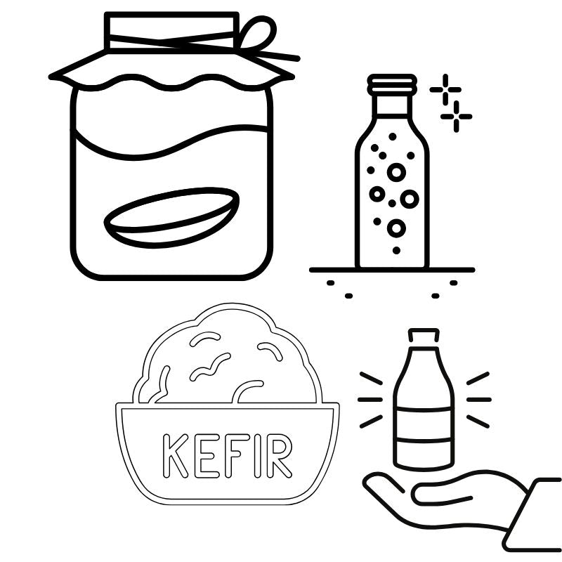 Kombucha & Fermented Drinks - Foodcraft Online Store