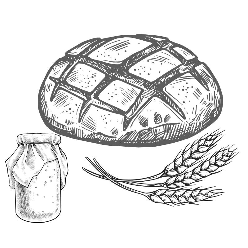 Sourdough Breads (Contains Gluten) - Foodcraft Online Store