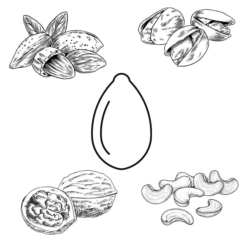 Sprouted Nuts & Seeds