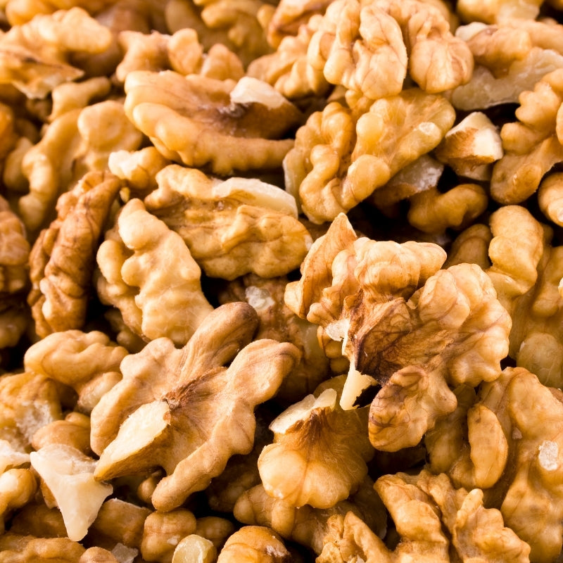 Close-up of sprouted walnuts 