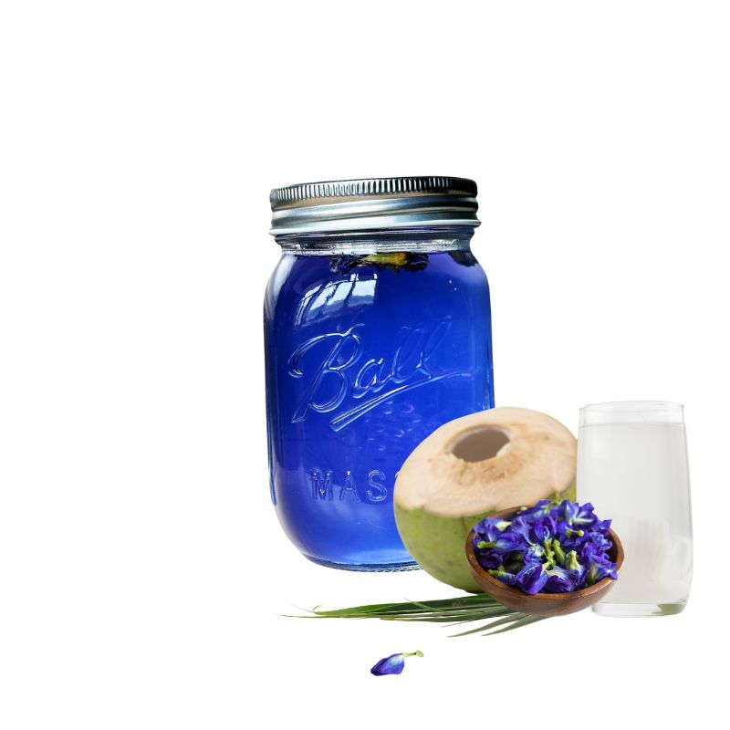 蝶豆花椰子水克非爾- 400ml – FoodCraft Online Store