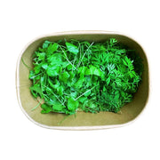 Carrot & Celery Sprout Mix (Pesticide Free) in a rectangular paper box on a white background