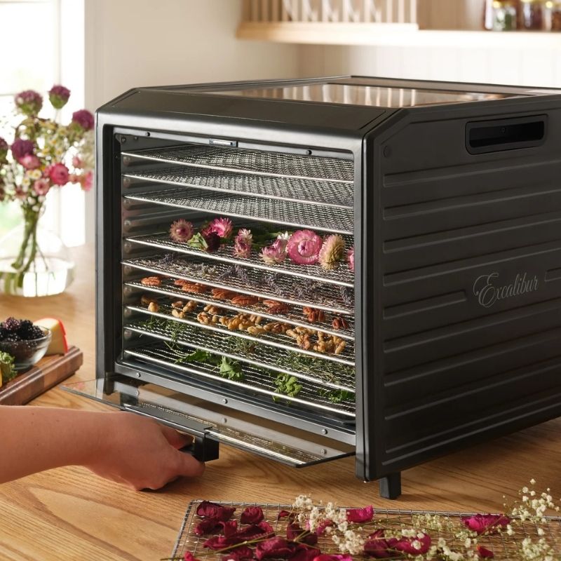 Excalibur 10 Tray Performance Digital Dehydrator, in Stainless Steel - DH10SSSS13 with trays of dried fruits and vegetables on a wooden surface.