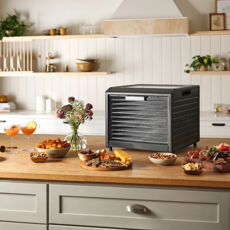 Kitchen counter with Excalibur 10 Tray Performance Digital Dehydrator, in Stainless Steel - DH10SSSS13 and various dishes on a wooden surface.