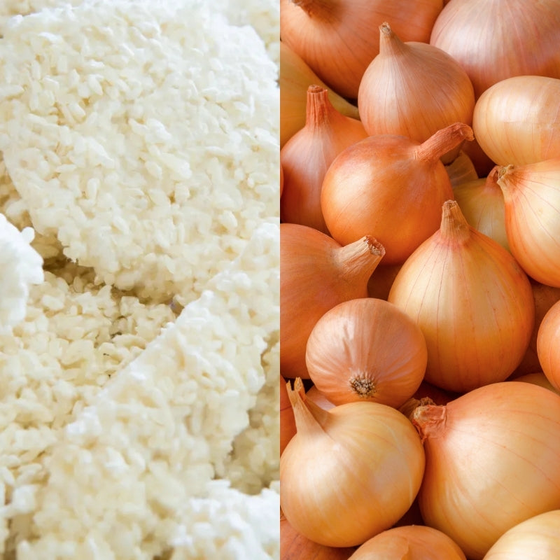 Fermented Onion Koji Umami Paste - Foodcraft Online Store