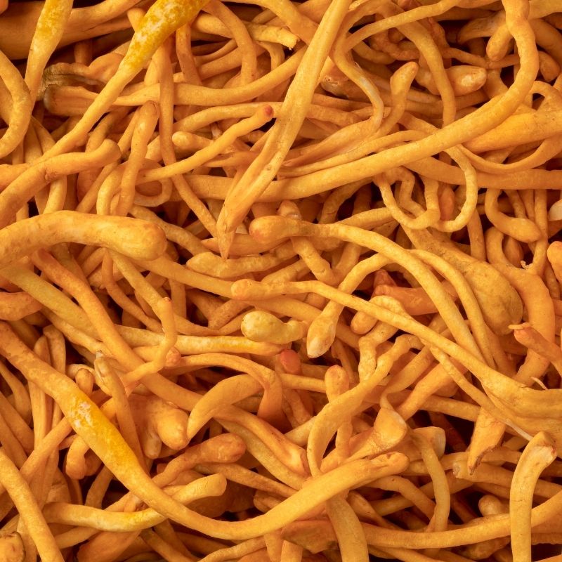 Fresh Cordyceps Flower Mushroom - 500g