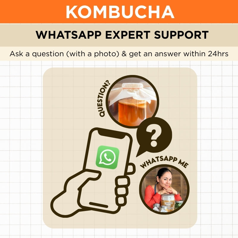 Kombucha Rookie Lifeline – 1-Month WhatsApp Coaching