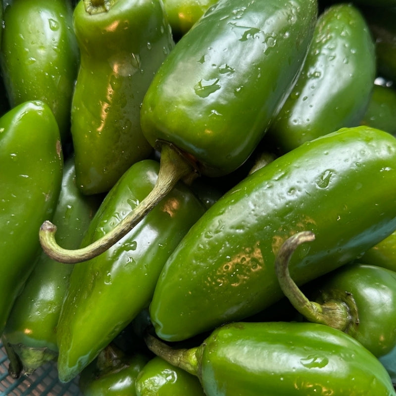 Lacto-Fermented Organic Jalapeno Pickles - Foodcraft Online Store