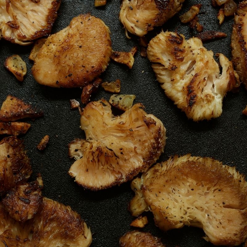 Roasted Lion's Mane Mushroom (Monkey's Head Mushroom) on a dark surface