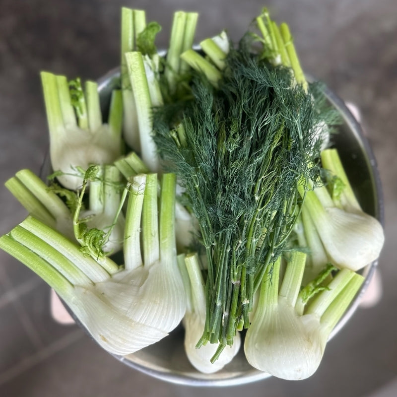 Fennel and dill : Ingredients of Living Lacto-Fermented Fennel with Dill and Orange  - 200g
