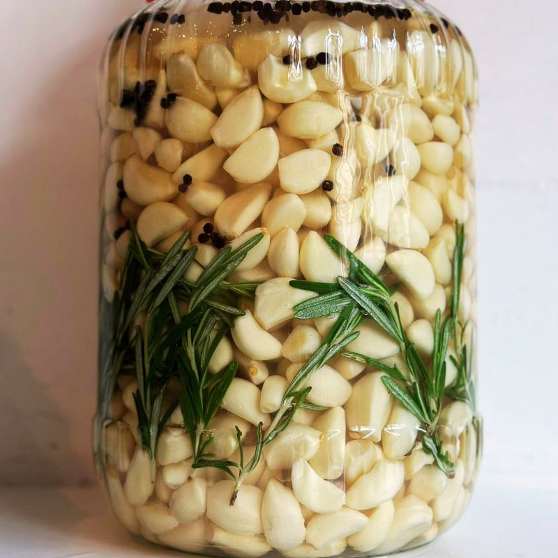 Glass jar filled with lacto-fermented garlic cloves and rosemary on a white background