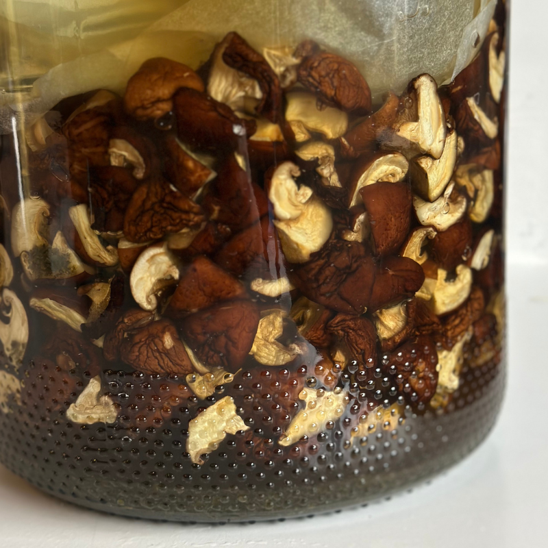 Living Lacto-Fermented Shiitake Mushrooms in a glass jar with a white background