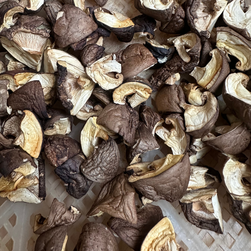 Close-up of dried mushrooms on a textured surface