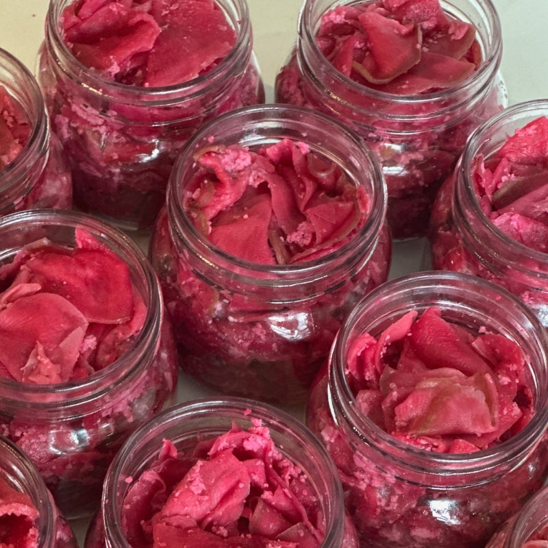 Jars filled withLiving Lacto-Fermented Watermelon Radish Koji Zuke  on a light background
