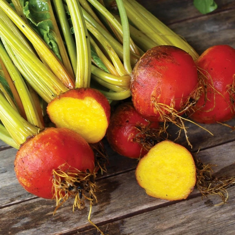 Photo of Golden Beetroots used to make 
Living Lacto-Fermented Golden Beetroot with Kaffir Lime Leaf- 200g