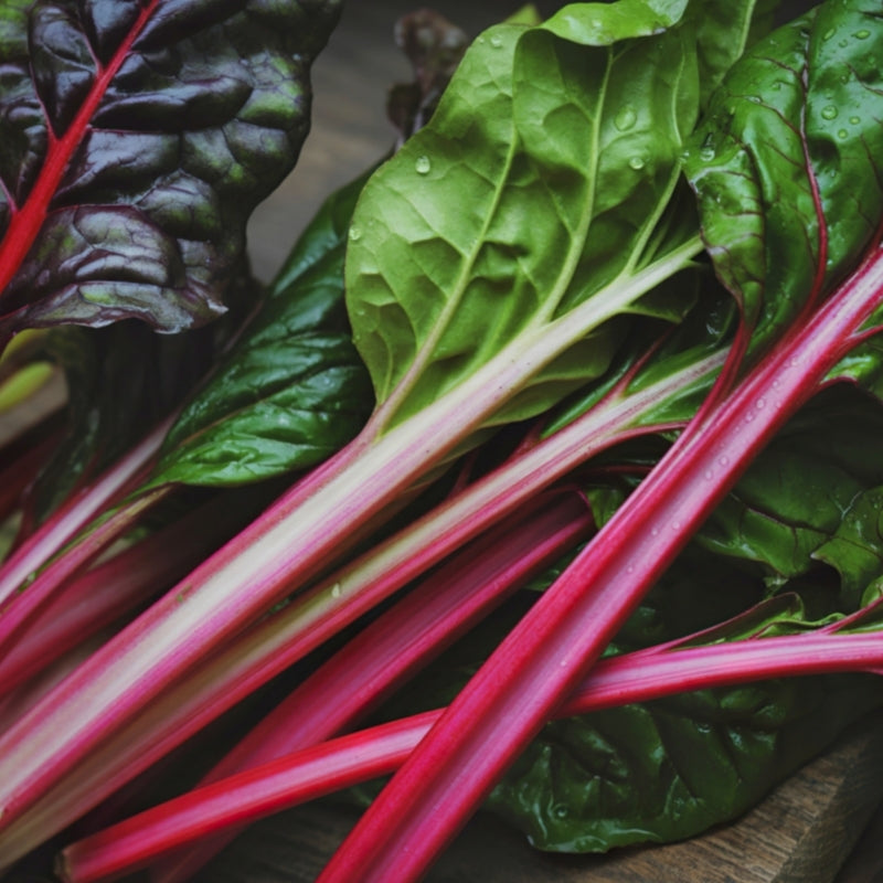 Close-up of fresh swiss chard with red stems on a wooden surface