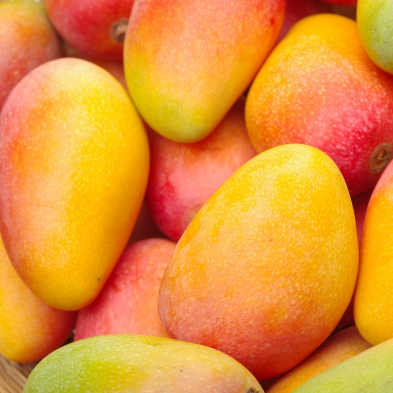 A close-up pile of ripe mangoes with yellow, orange, red, and green skin tones filling the frame 