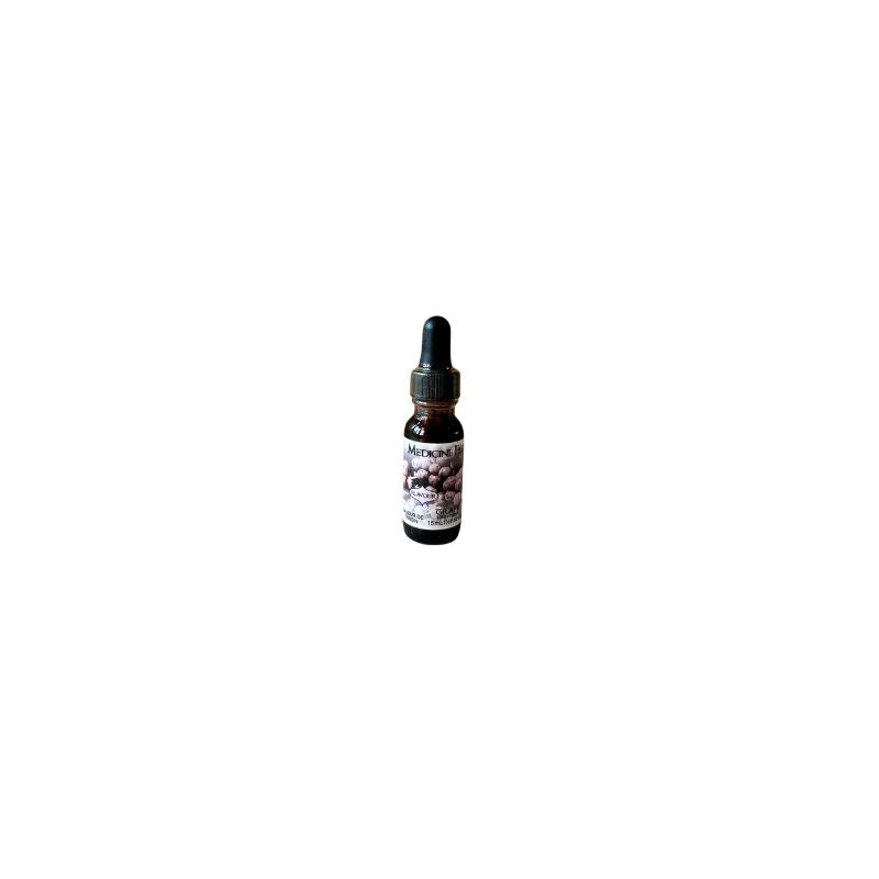 Medicine Flower Grape Flavor Extract - Foodcraft Online Store