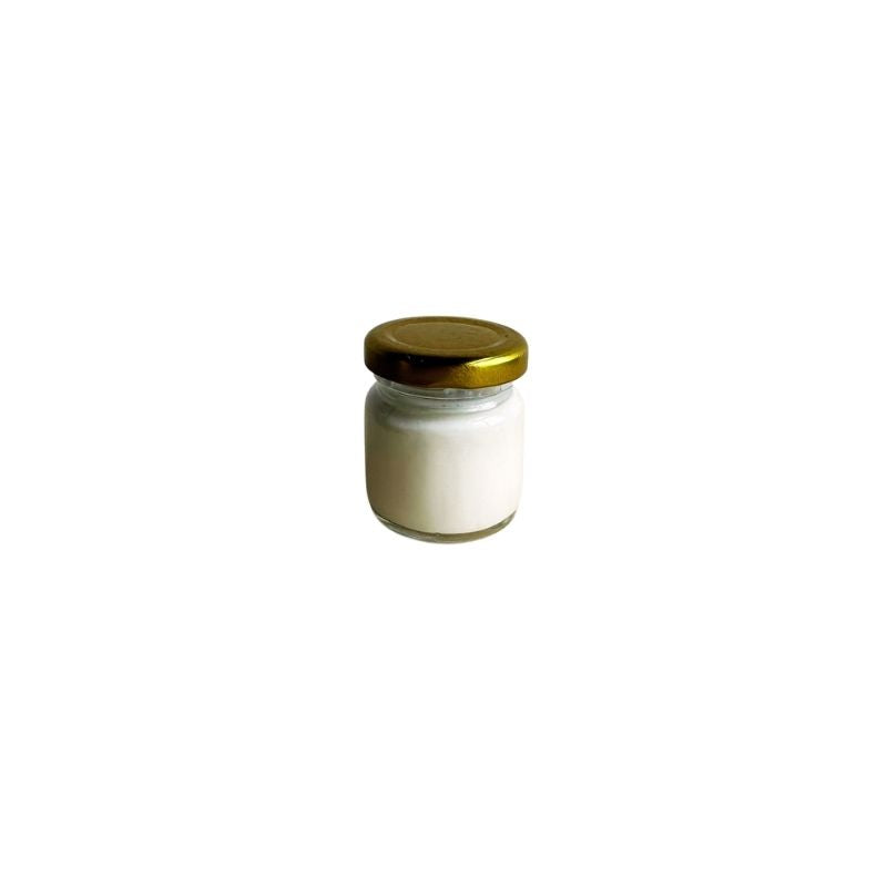 無乳製品“牛奶”克菲爾菌種 - 1 茶匙