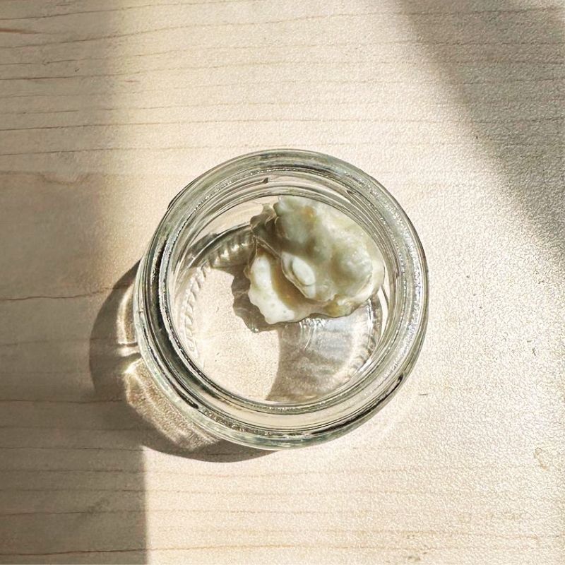 無乳製品“牛奶”克菲爾菌種 - 1 茶匙