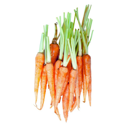Mini Carrots - Foodcraft Online Store
