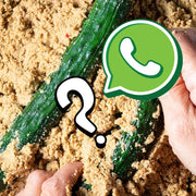 Nukazuke Rookie Lifeline – 1-Month WhatsApp Coaching