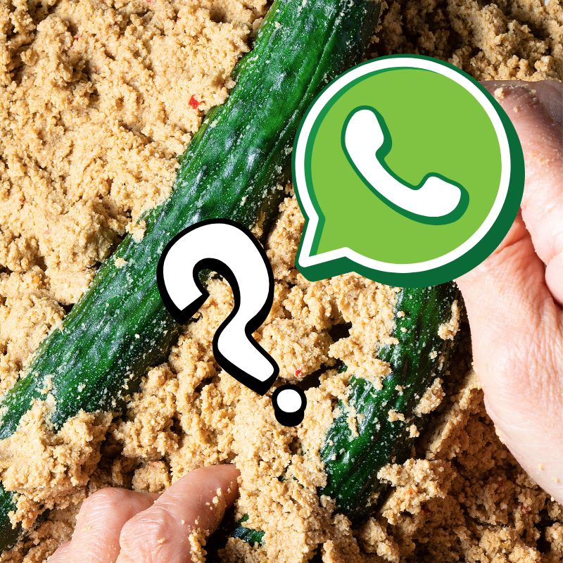 Nukazuke Rookie Lifeline – 1-Month WhatsApp Coaching