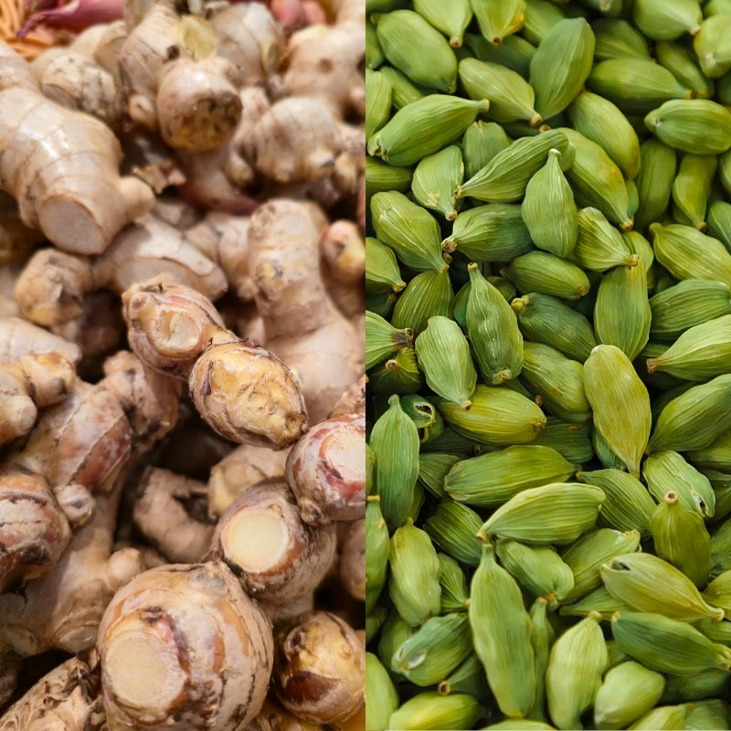 Ginger + Green Cardamom - Ingredients of Organic Ginger Cardamom Water Kefir - 400ml Foodcraft Online Store