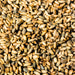 Organic Sprouted Whole Grain Rye Berries - Foodcraft Online Store
