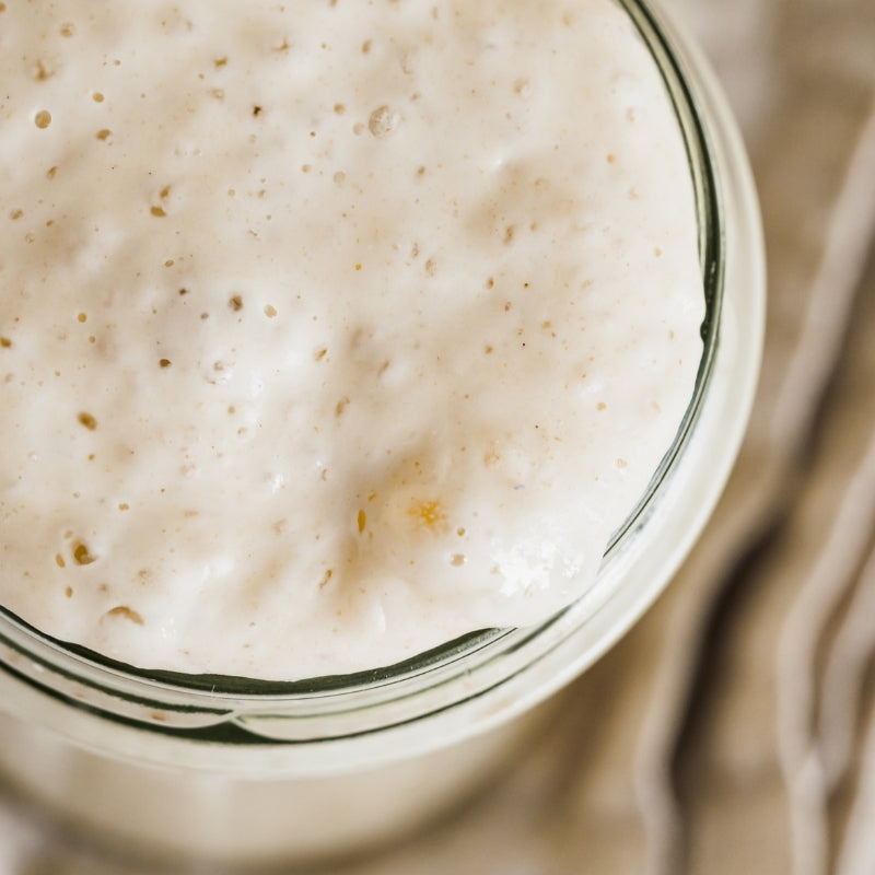 Organic_Sourdough_Starter_-_80g_-closeup