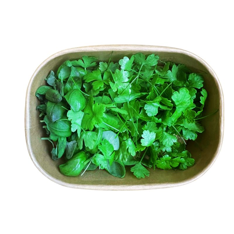 Parsley and Basil Sprout Mix (Pesticide Free) in a rectangular paper box on a white background