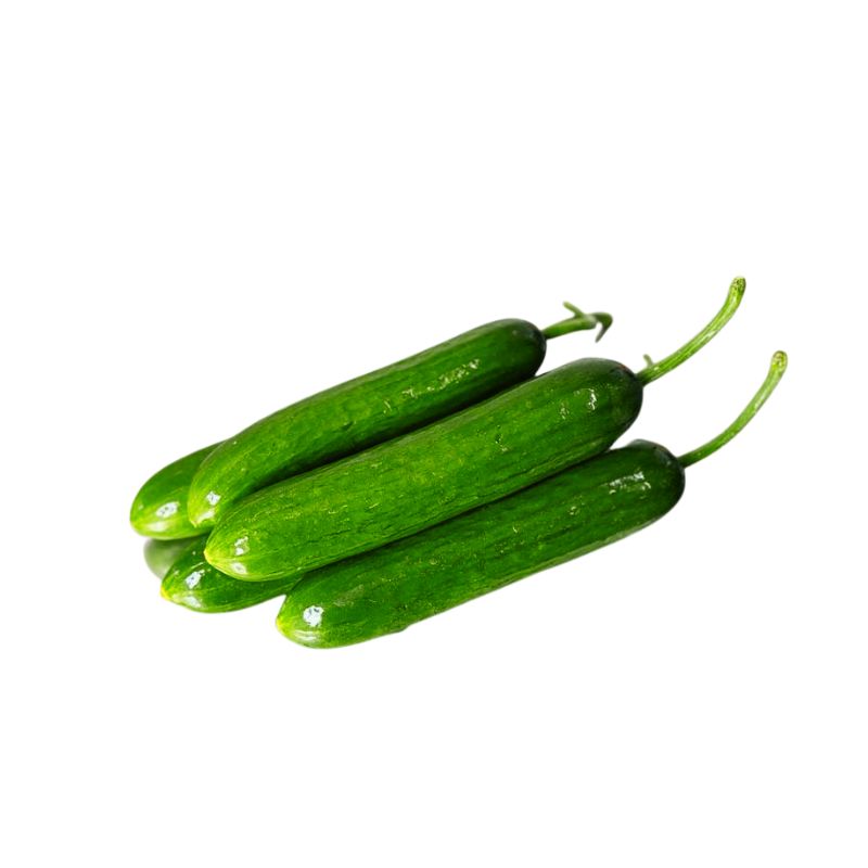 Nukazuke Starter Kit