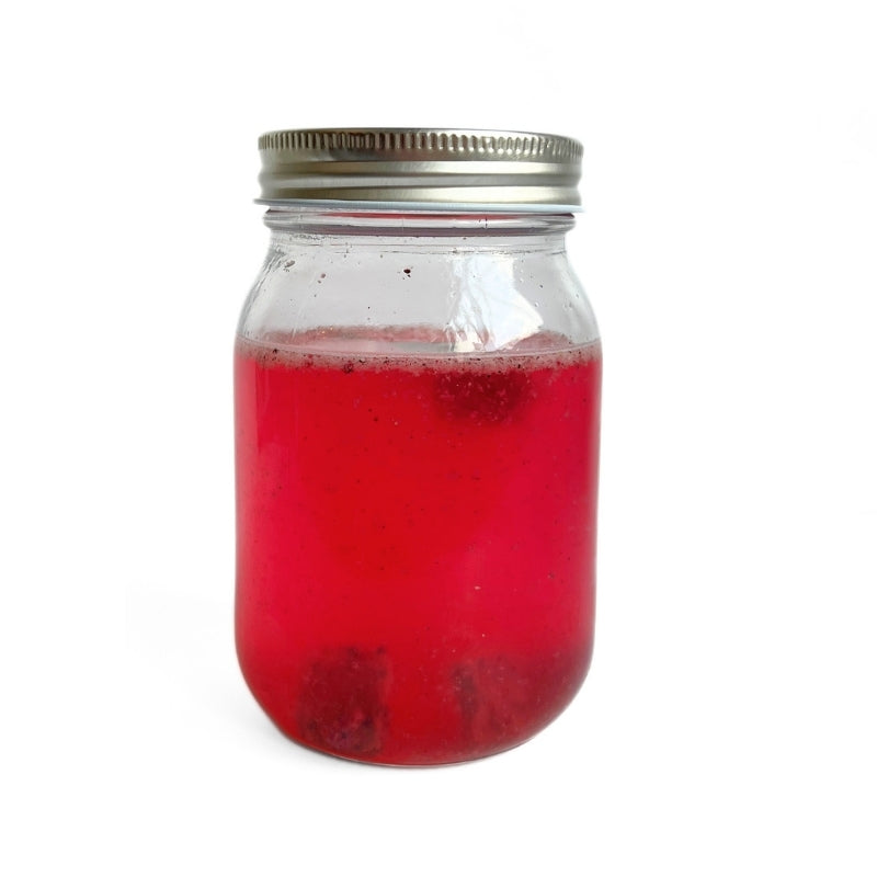 Pink Pitaya Coconut Water Kefir - 400ml - Foodcraft Online Store
