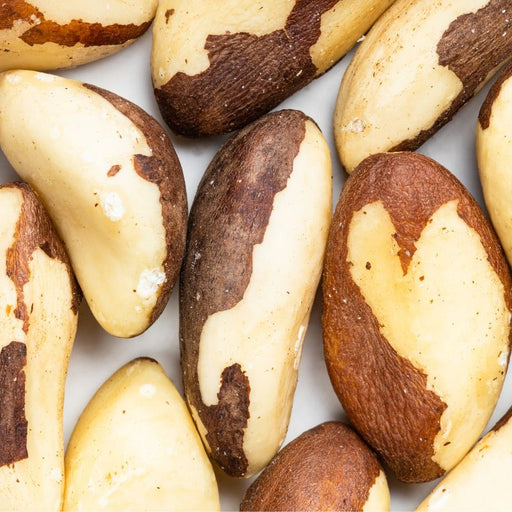 Raw Sprouted Organic Brazil Nuts - Foodcraft Online Store