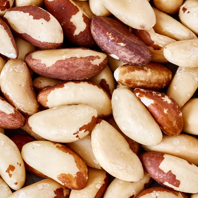 A close-up pile of Raw Sprouted Organic Brazil Nuts - Foodcraft Online Store